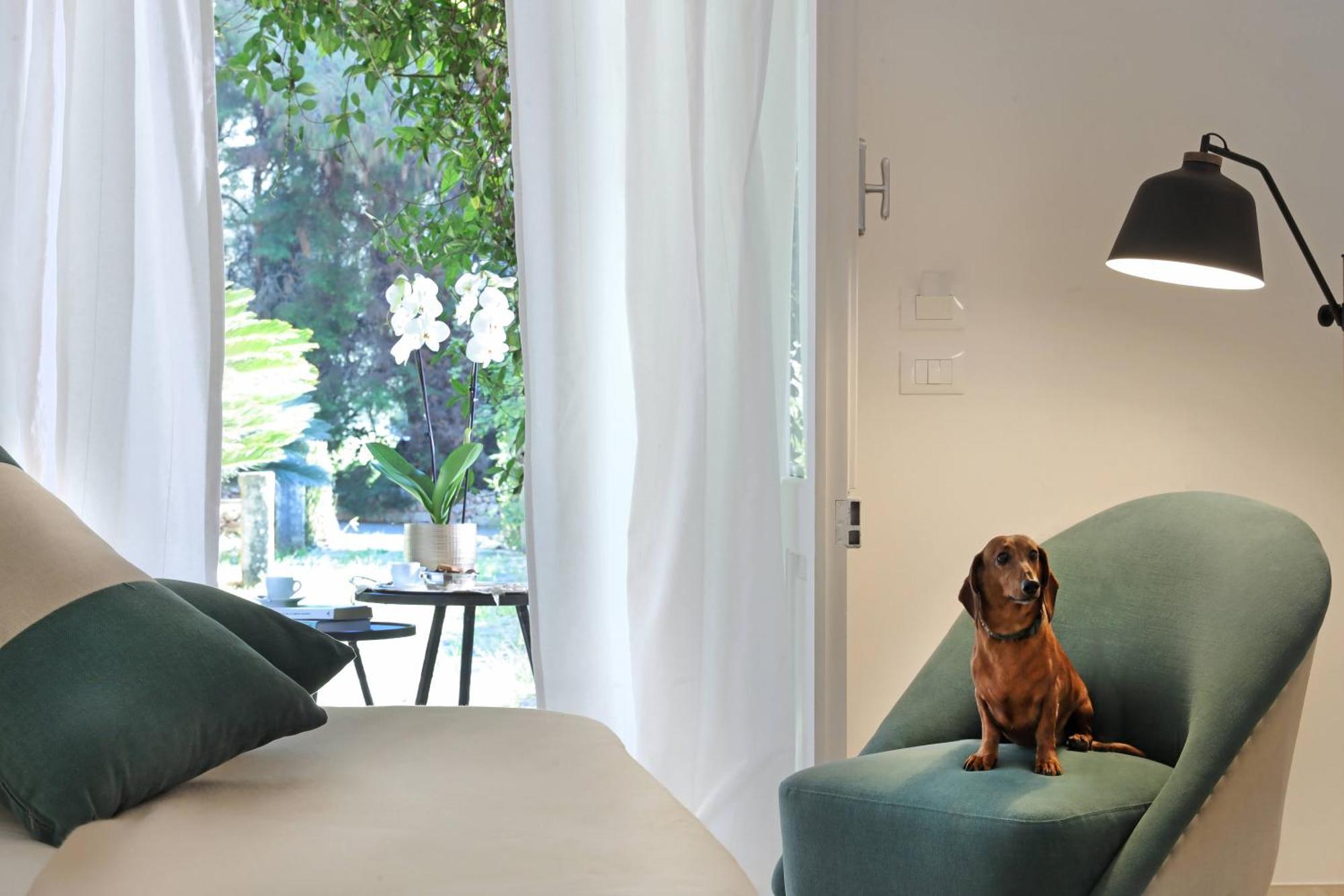 Maison D'Enri กัลลีโปลี ภายนอก รูปภาพ